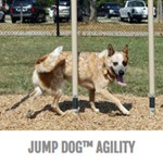 View Dog Park Outfitters™ Agility